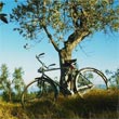 Noleggio Mountain Bikes