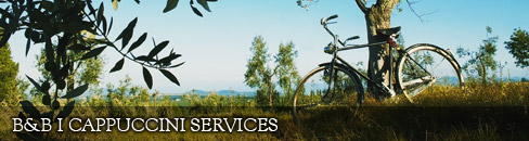 Bed & Breakfast services in Lucignano I Cappuccini